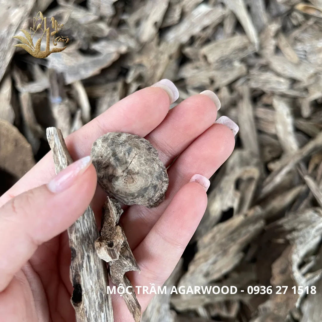 Natural Vietnamese Kien Xi Agarwood Chips – Resinous Oud Pieces (Multiple Weights Available)